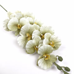 9 Heads Green Orchid 95cmH