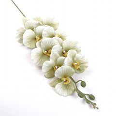 9 Heads Green Orchid 95cmH