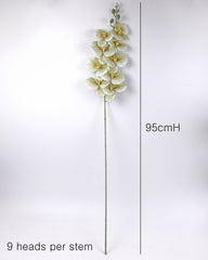 9 Heads Green Orchid 95cmH