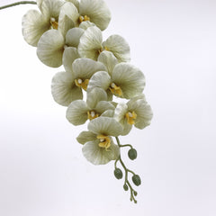 9 Heads Green Orchid 95cmH