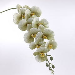 9 Heads Green Orchid 95cmH