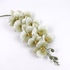 9 Heads Green Orchid 95cmH