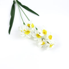 White Daffodil Flower Stem 53cmH