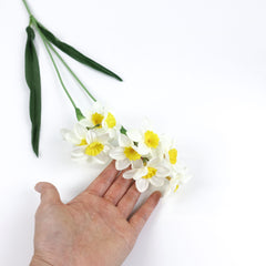 White Daffodil Flower Stem 53cmH