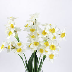 White Daffodil Flower Stem 53cmH