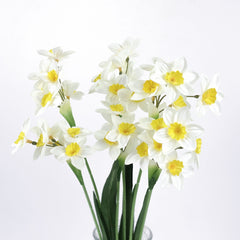 White Daffodil Flower Stem 53cmH