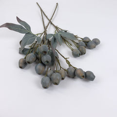 Eucalyptus Gum Nut Branch 48cmH