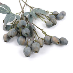 Eucalyptus Gum Nut Branch 48cmH