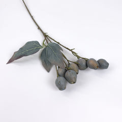 Eucalyptus Gum Nut Branch 48cmH