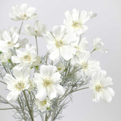 6 Heads Artificial Cosmos Flower 60cmH