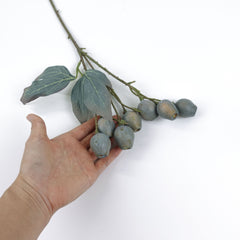 Eucalyptus Gum Nut Branch 48cmH