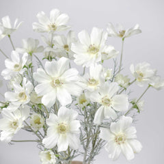 6 Heads Artificial Cosmos Flower 60cmH