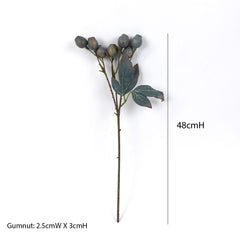 Eucalyptus Gum Nut Branch 48cmH