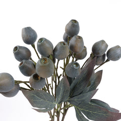Eucalyptus Gum Nut Branch 48cmH