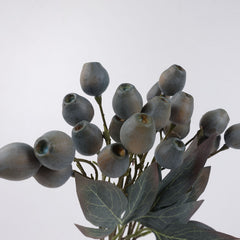 Eucalyptus Gum Nut Branch 48cmH