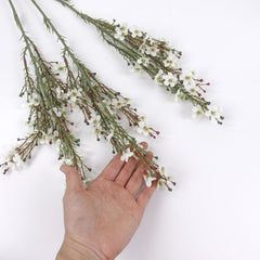 Wax Flower Stem in White