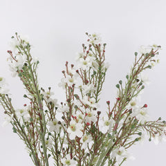 Wax Flower Stem in White