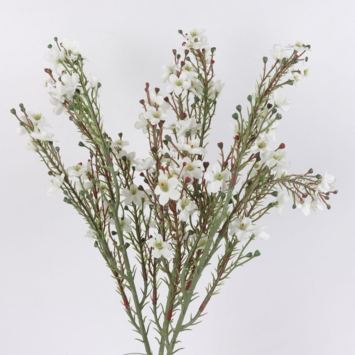 Artificial wax white flower