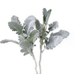 2 Stems Artificial Dusty Miller 35cmH