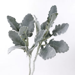 2 Stems Artificial Dusty Miller 35cmH