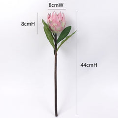 Protea Flower Stem