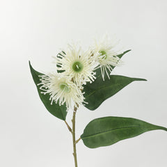 3 Full Bloom Eucalyptus Flowering Gum Spray