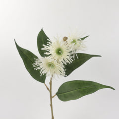 3 Full Bloom Eucalyptus Flowering Gum Spray