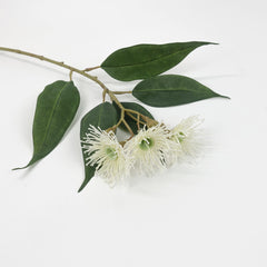 3 Full Bloom Eucalyptus Flowering Gum Spray