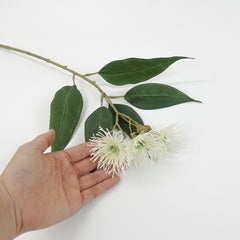 3 Full Bloom Eucalyptus Flowering Gum Spray