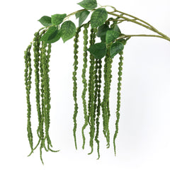 Amaranthus Stem in Green