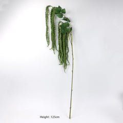 Amaranthus Stem in Green