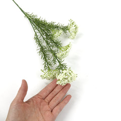 Seeded Spray