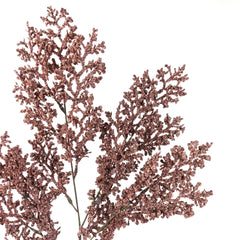 Caspia Limonium Spray
