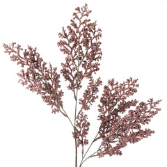Caspia Limonium Spray