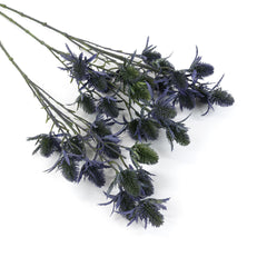 11 Heads Sea Holly Thistle Spray