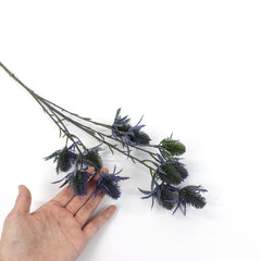 11 Heads Sea Holly Thistle Spray