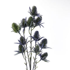 11 Heads Sea Holly Thistle Spray
