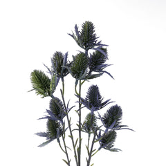 11 Heads Sea Holly Thistle Spray
