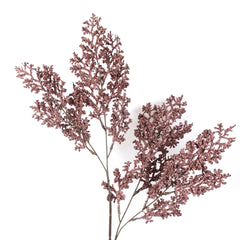 Caspia Limonium Spray