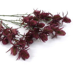 11 Heads Sea Holly Thistle Spray