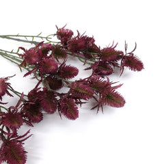 11 Heads Sea Holly Thistle Spray