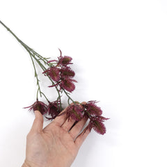 11 Heads Sea Holly Thistle Spray