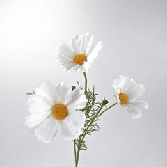 3 Heads Real-touch Cosmos Flower Stem in White