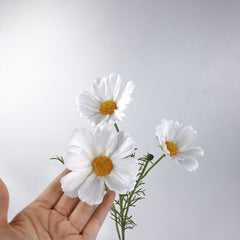 3 Heads Real-touch Cosmos Flower Stem in White
