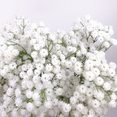 Baby's Breath Spray 65cmH Gypsophila