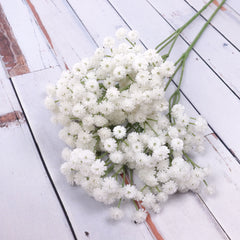 Baby's Breath Spray 65cmH Gypsophila