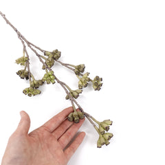 Real-touch Eucalyptus Seed Spray