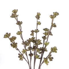 Real-touch Eucalyptus Seed Spray