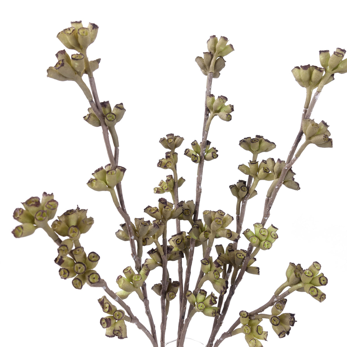 Artificial Real-touch Eucalyptus Seed Spray