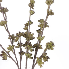 Real-touch Eucalyptus Seed Spray